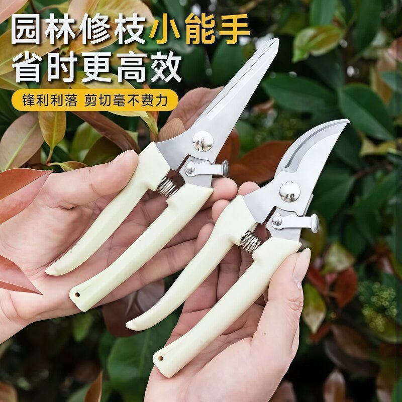 不锈钢树枝修枝剪采摘水果花木剪园林果树花卉枝嫁接园艺剪刀工具