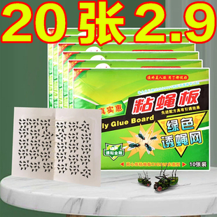 粘蝇纸强力苍蝇贴粘蝇板粘贴纸捕苍蝇膏板引诱灭蝇家用灭蝇神器