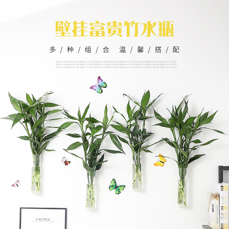速发壁挂玻璃养富贵竹花瓶水养花透竹植物水培瓶水明插花瓶挂墙上