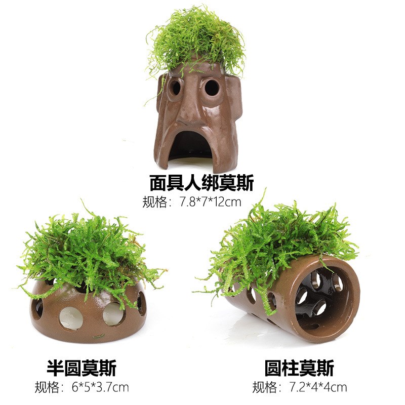 速发鱼缸莫斯陶罐水草造景真植物鱼虾躲避罐虾屋小摆件小鱼繁殖躲