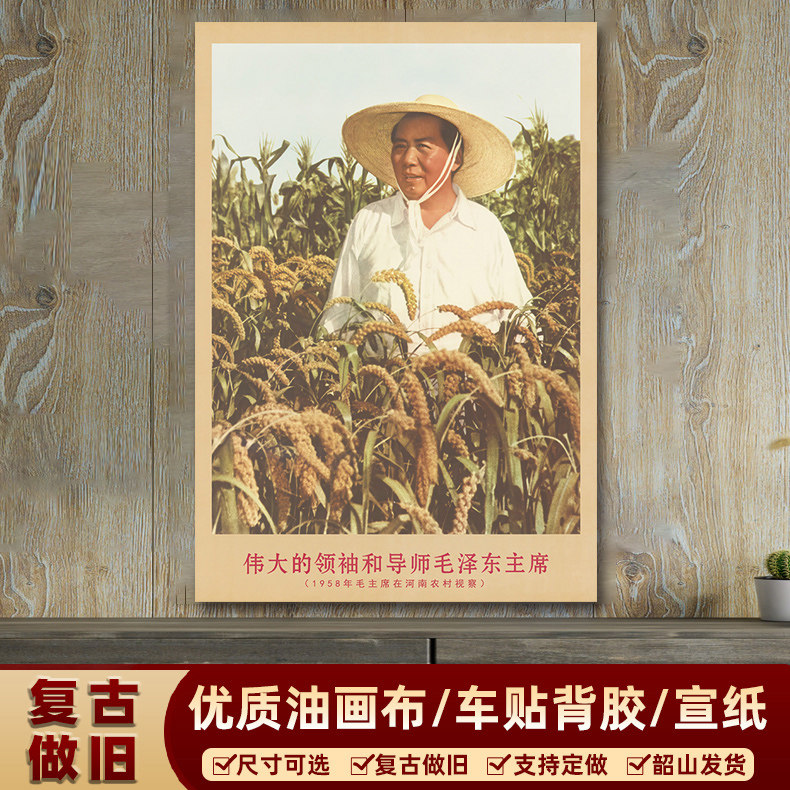 速发房河南农村视察像复墙宣传画客厅古画书在装饰画海报画