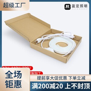 现货跨境220V柔性霓虹灯带1w10V外贸热销盒套装定制加工欧英美规L