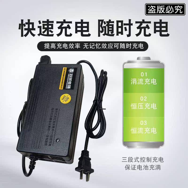 速发特莱维狮电动车电瓶6V12AH48V2HAH6002072AAH