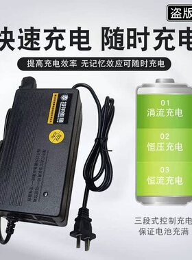 速发特莱维狮电动车电瓶6V12AH48V2HAH6002072AAH