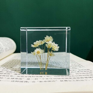 蒲公英规本植物摆件四叶草雏菊滴胶干燥花方N块体树脂摆饰礼物朋