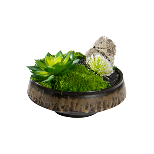 2021新款仿真多肉植物盆景假山石绿G植景观盆栽花艺摆件样板间装