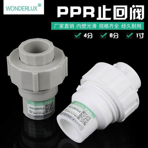PPR止回阀单向阀塑料配件逆止阀202532 4分6分1寸PPR水管管件配件