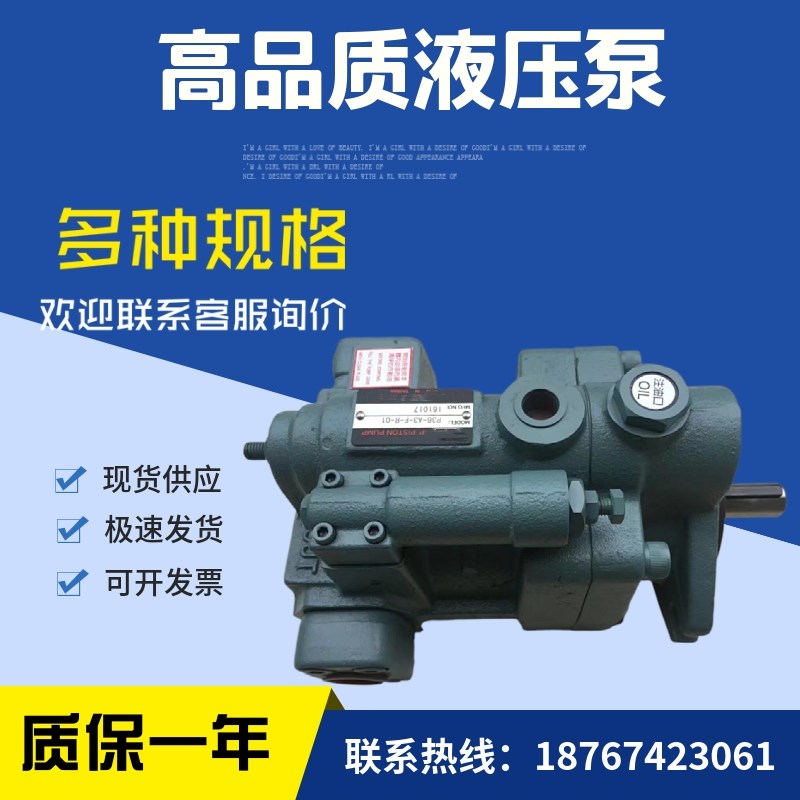 液压油泵P22-A0/A1/A2/A3-F/L-R/L-01柱塞泵齿轮泵叶片泵