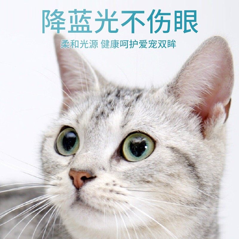 USB充电激光逗猫棒 LED投影多图案表情红外线激光笔灯宠物猫咪玩,文具电教/文化用品/商务用品,激光笔,淘宝优惠券,粉丝福利购,淘宝优惠卷