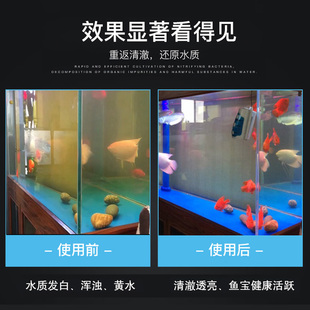 鱼缸硝化细菌消化菌水质稳定分解粪便鱼食残渣去浑水菌苗水族三宝