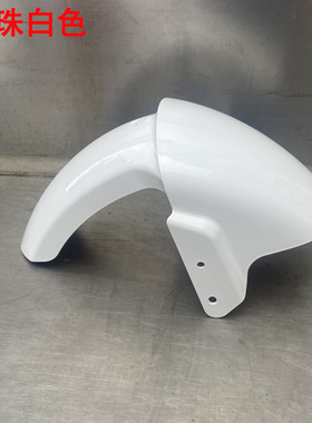 适用本铃c电动车老百姓B09车型挡泥板绿驹金箭新蕾 N9电动车前泥