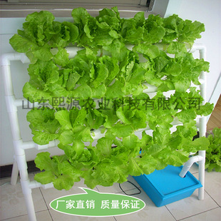 阳台无土栽培设备 新款 梯式 家庭水耕水培机 自动花卉水培种菜机