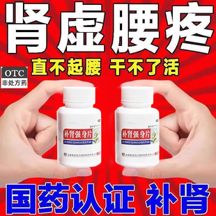 男人补肾的药肾虚肾亏阴阳两虚补肾强身片经常疲劳无力汗多腰酸疼