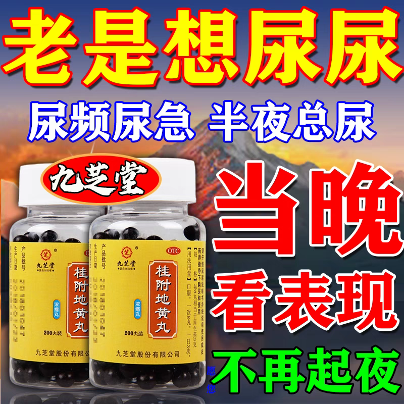 【仲景】桂附地黄丸0.375g*200丸/盒