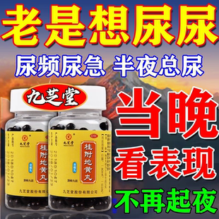 桂附地黄丸正品尿频尿急夜尿多小便次数多吃什么药尿急尿频中草药