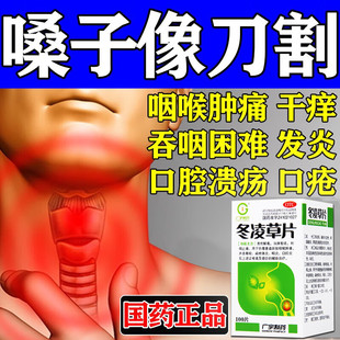 冬凌草片治咽炎炎慢性咽喉炎效除治疗根咽喉炎专用药喉咙有痰肿痛