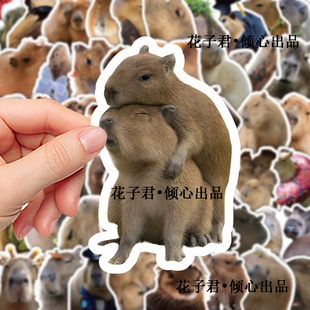 122张写实水豚capybara贴纸可爱搞怪卡皮巴拉周边手账手机壳贴画