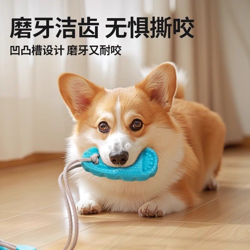 狗狗玩具吸盘耐咬磨牙解闷自嗨神器边牧消耗体力小狗玩具宠物用品