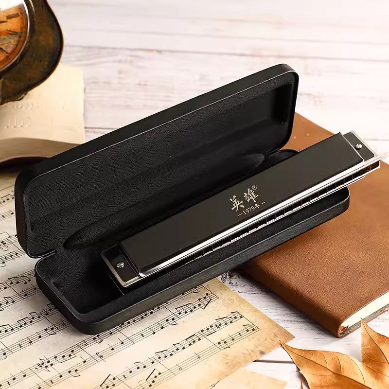 国光英雄24孔单音C调口琴单排高级铜格专业演奏级#ABDEFG升降全套