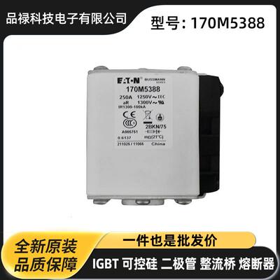 BUSSAMNN巴斯曼保险丝 快速熔断器170M5388 170M5410 170M5447