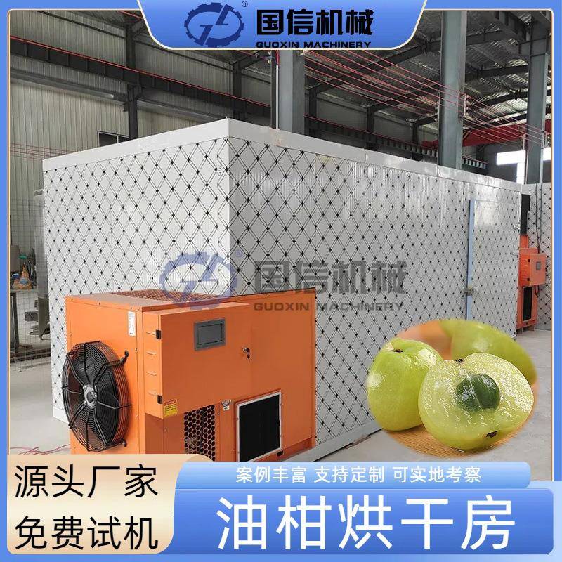 余甘子牛甘果橄榄烘干房望果山油柑油甘果脯烘干机油柑烘干设备