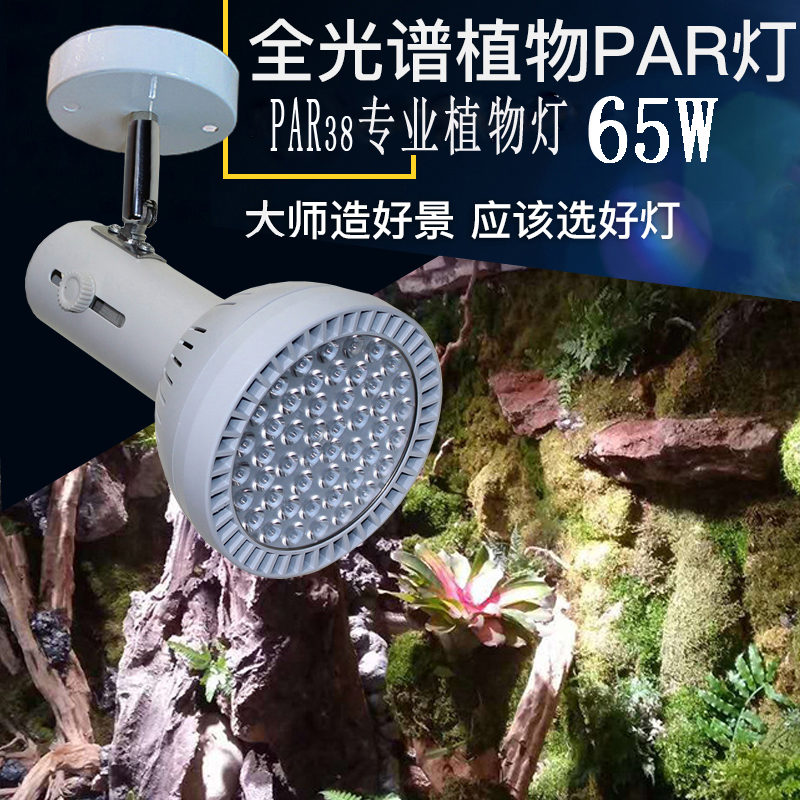 65W植物墙补光射灯室内假山鱼缸造景全光谱led生长轨道雨林缸灯