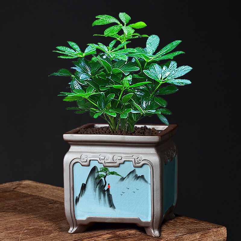 陶瓷哥窑花盆创意中国风手绘国画复古盆器兰花吊兰飘枝四方古典盆