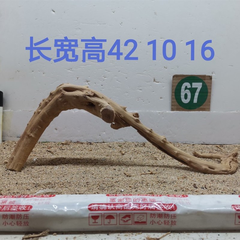 杜鹃根树桩栖根草缸造景沉木水陆缸雨林缸南美缸一木成景爬宠缸架