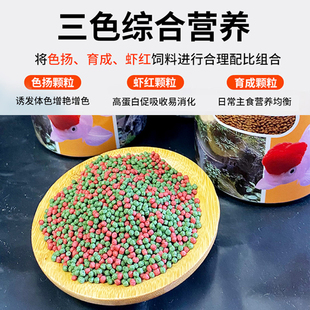 金鱼饲料小颗粒孔雀鱼热带鱼食观赏小型鱼饲料灯科鱼粮兰寿鱼饲料