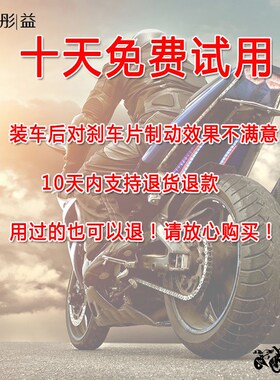 适用龙嘉摩托车VMAX30n0ie XDV300i XDV250si前后金属烧结刹车片