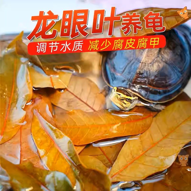 养龟免煮龙眼叶干腐皮烂甲调节水质乌龟躲避鱼缸龟缸生态植物造景,宠物/宠物食品及用品,造景/装饰,淘宝优惠券,粉丝福利购,淘宝优惠卷
