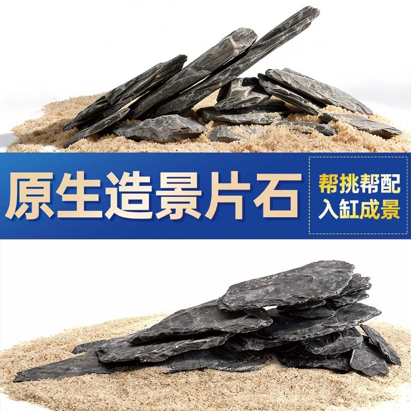 鱼缸造景石头青龙石原生溪流片石黑金石松皮石乌龟南美缸草缸装饰,宠物/宠物食品及用品,造景/装饰,淘宝优惠券,粉丝福利购,淘宝优惠卷