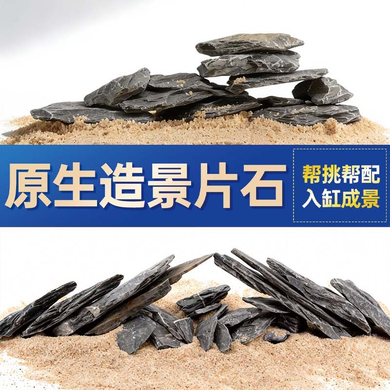 鱼缸造景石头青龙石原生溪流片石黑金石松皮石乌龟南美缸草缸装饰,宠物/宠物食品及用品,造景/装饰,淘宝优惠券,粉丝福利购,淘宝优惠卷