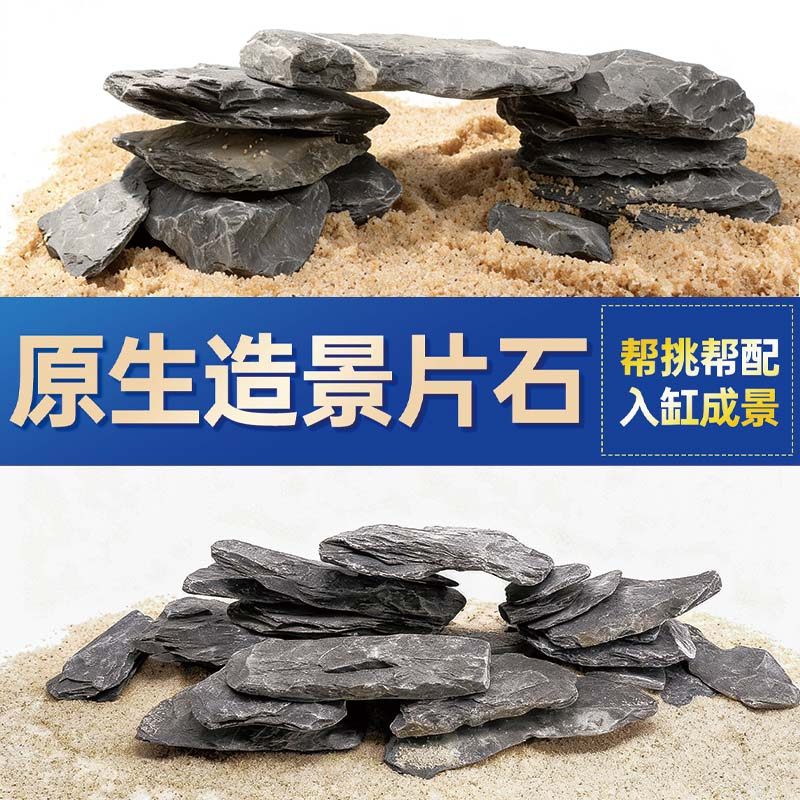 鱼缸造景石头青龙石原生溪流片石黑金石松皮石乌龟南美缸草缸装饰,宠物/宠物食品及用品,造景/装饰,淘宝优惠券,粉丝福利购,淘宝优惠卷