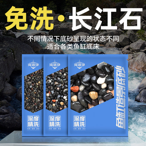 海洛伊天然长江石造景协会理事