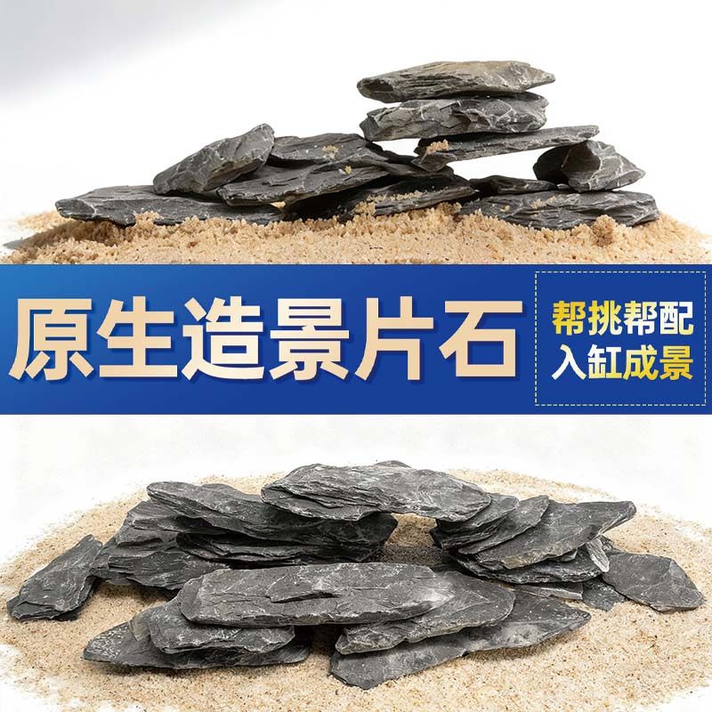 鱼缸造景石头青龙石原生溪流片石黑金石松皮石乌龟南美缸草缸装饰,宠物/宠物食品及用品,造景/装饰,淘宝优惠券,粉丝福利购,淘宝优惠卷