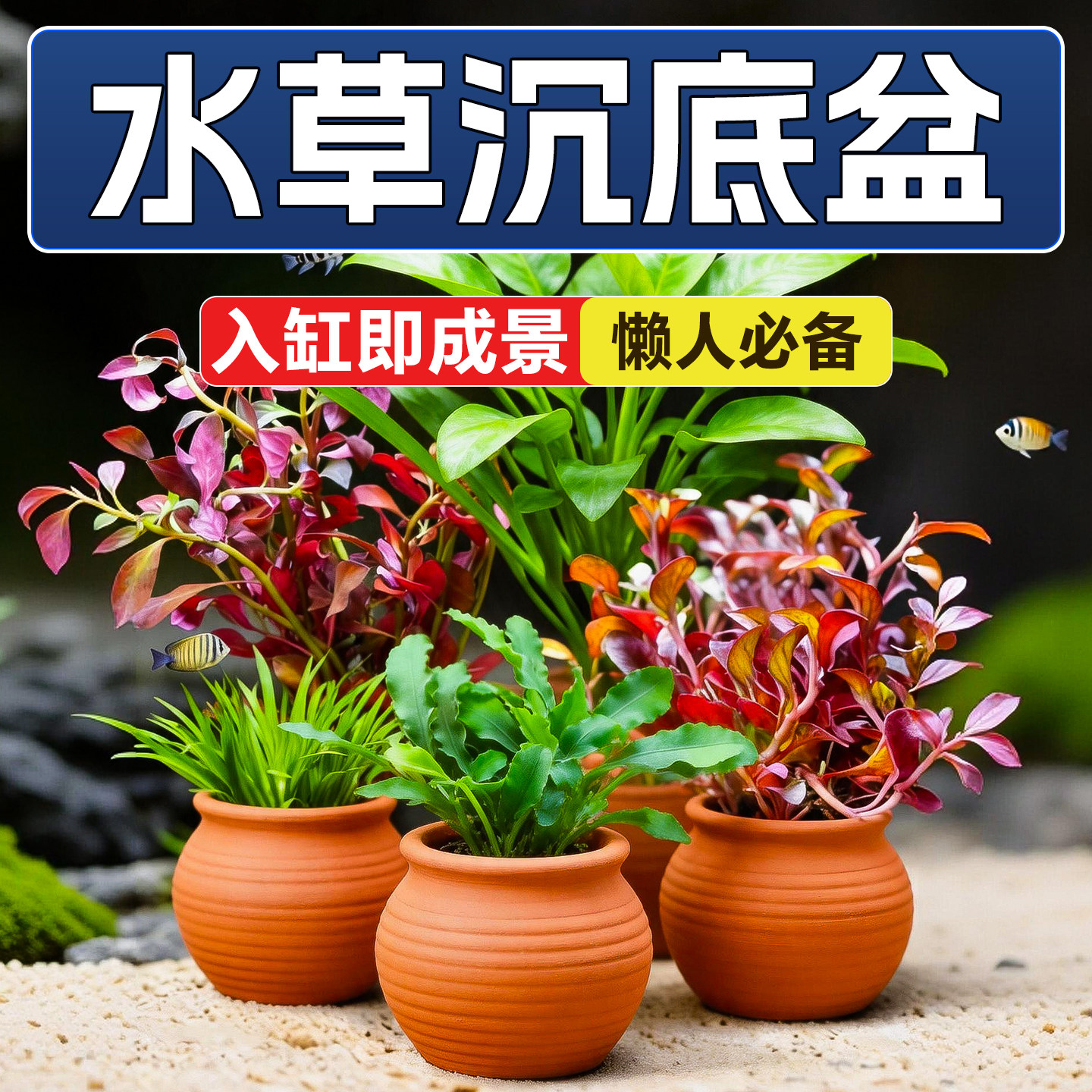 鱼缸造景水草沉底盆花盆陶瓷罐专用摆件装饰生态养鱼固定神器懒人