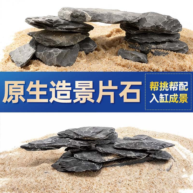 鱼缸造景石头青龙石原生溪流片石黑金石松皮石乌龟南美缸草缸装饰,宠物/宠物食品及用品,造景/装饰,淘宝优惠券,粉丝福利购,淘宝优惠卷