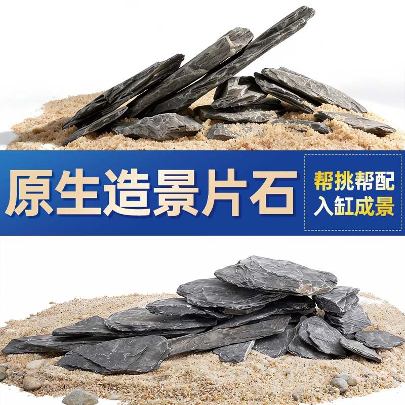 鱼缸造景石头青龙石原生溪流片石黑金石松皮石乌龟南美缸草缸装饰,宠物/宠物食品及用品,造景/装饰,淘宝优惠券,粉丝福利购,淘宝优惠卷