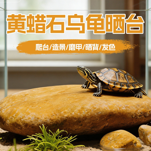 海洛伊天然黄蜡石乌龟晒台