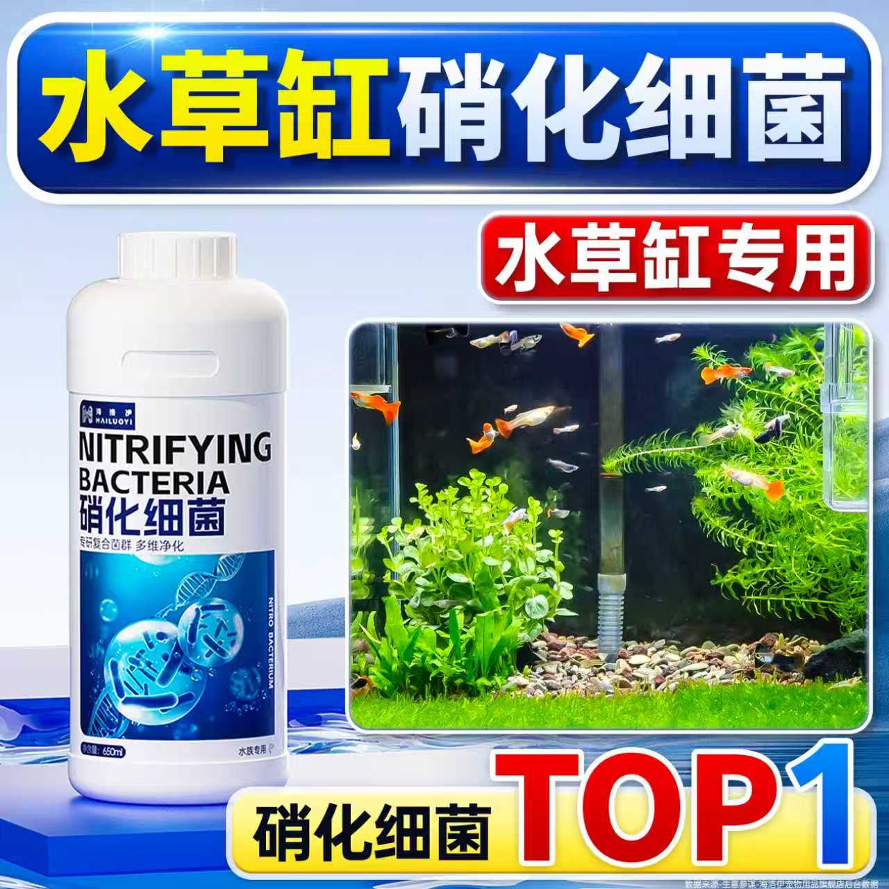 海洛伊硝化细菌净水培菌改善水质