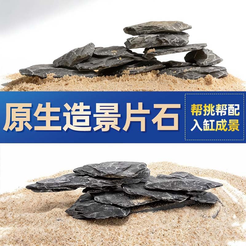 鱼缸造景石头青龙石原生溪流片石黑金石松皮石乌龟南美缸草缸装饰,宠物/宠物食品及用品,造景/装饰,淘宝优惠券,粉丝福利购,淘宝优惠卷