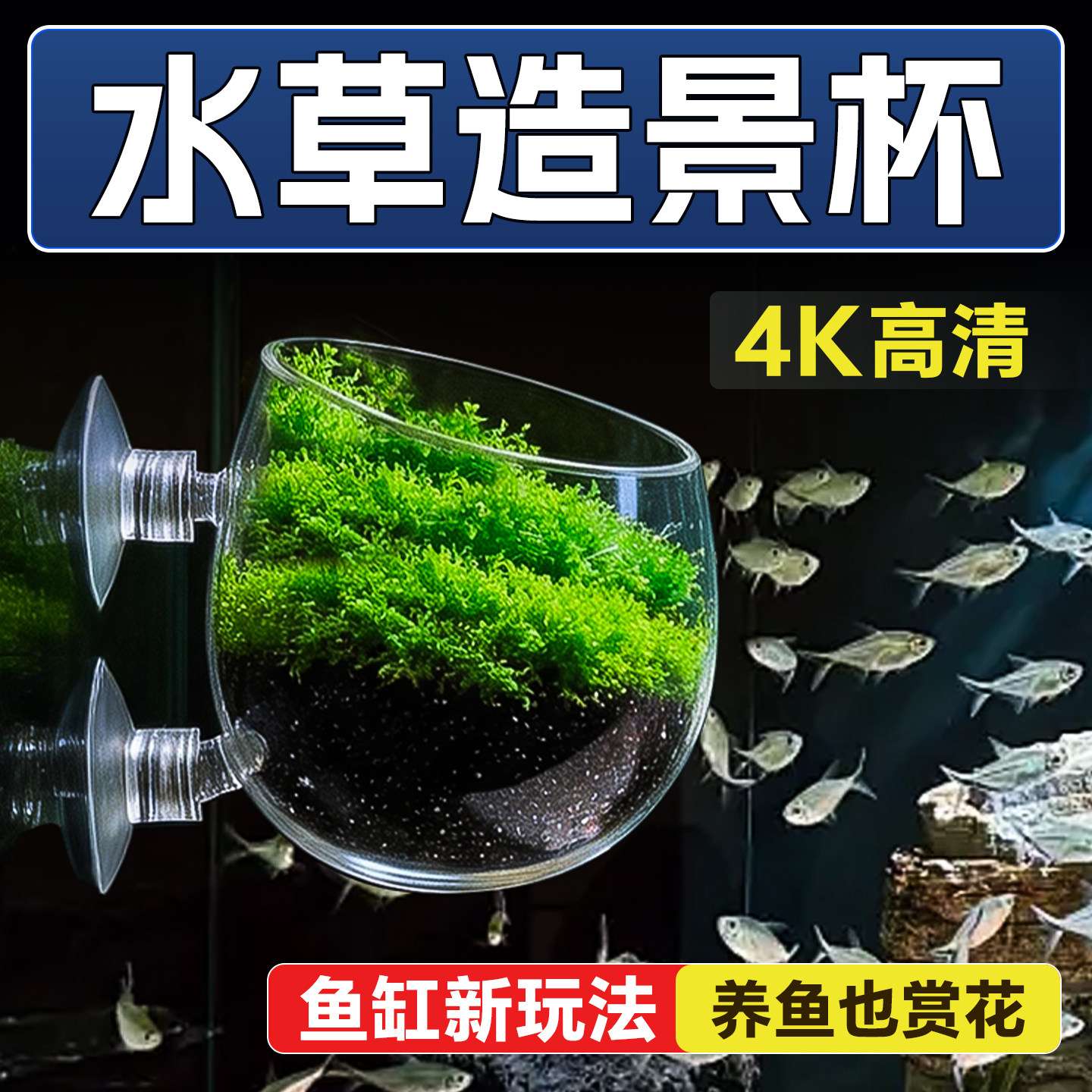 水晶玻璃轻质高透海葵杯微景观图片