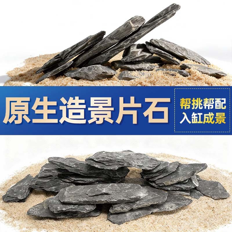 鱼缸造景石头青龙石原生溪流片石黑金石松皮石乌龟南美缸草缸装饰,宠物/宠物食品及用品,造景/装饰,淘宝优惠券,粉丝福利购,淘宝优惠卷
