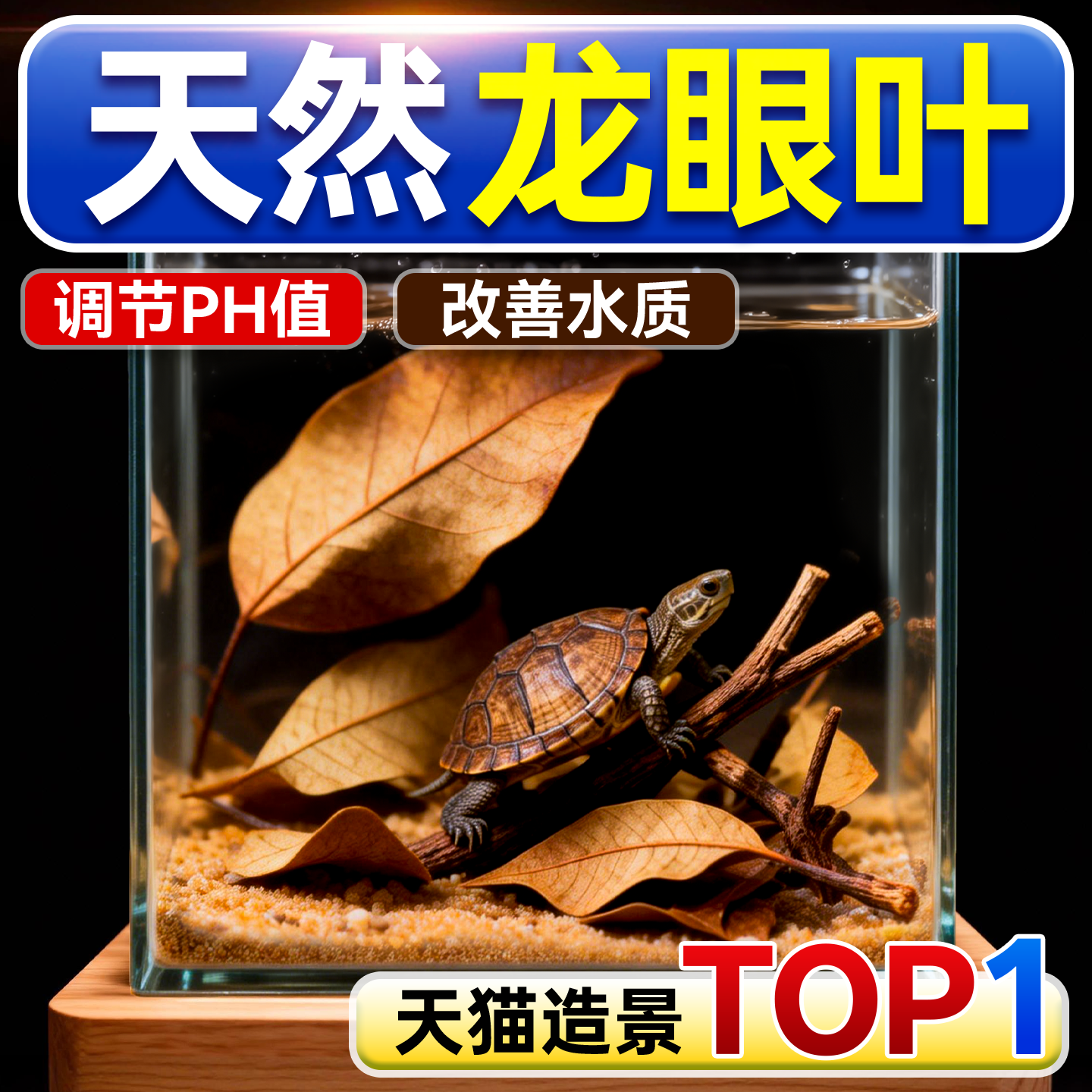 养龟免煮龙眼叶干腐皮烂甲调节水质乌龟躲避鱼缸龟缸生态植物造景