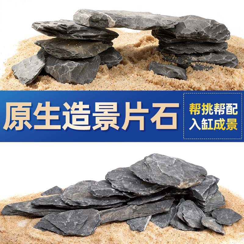 鱼缸造景石头青龙石原生溪流片石黑金石松皮石乌龟南美缸草缸装饰,宠物/宠物食品及用品,造景/装饰,淘宝优惠券,粉丝福利购,淘宝优惠卷