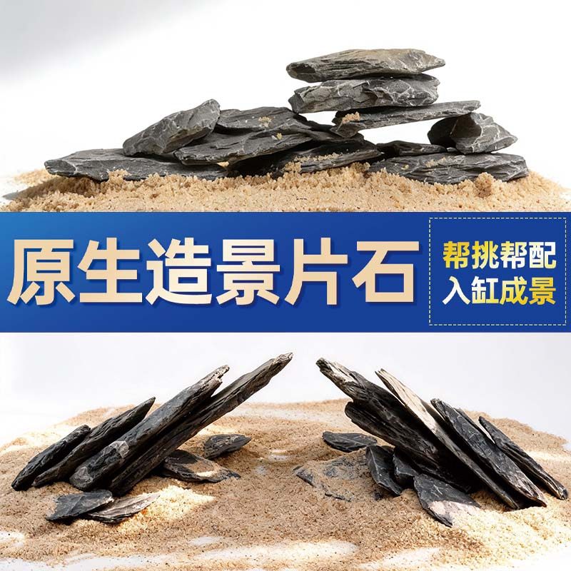 鱼缸造景石头青龙石原生溪流片石黑金石松皮石乌龟南美缸草缸装饰,宠物/宠物食品及用品,造景/装饰,淘宝优惠券,粉丝福利购,淘宝优惠卷