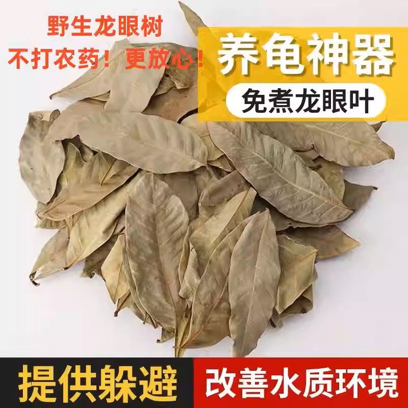 养龟免煮龙眼叶干腐皮烂甲调节水质乌龟躲避鱼缸龟缸生态植物造景,宠物/宠物食品及用品,造景/装饰,淘宝优惠券,粉丝福利购,淘宝优惠卷