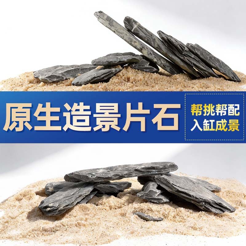 鱼缸造景石头青龙石原生溪流片石黑金石松皮石乌龟南美缸草缸装饰,宠物/宠物食品及用品,造景/装饰,淘宝优惠券,粉丝福利购,淘宝优惠卷