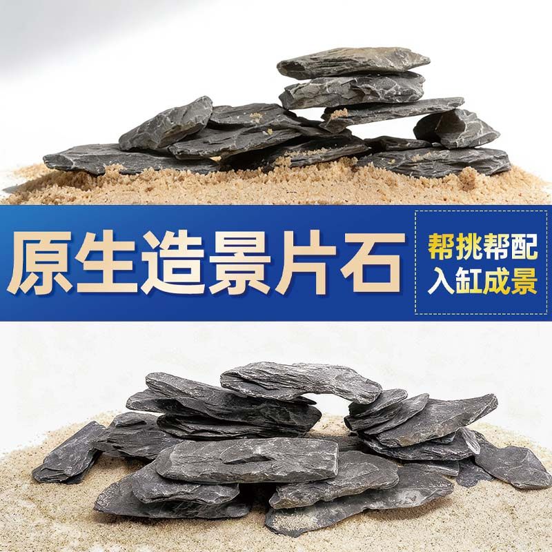鱼缸造景石头青龙石原生溪流片石黑金石松皮石乌龟南美缸草缸装饰,宠物/宠物食品及用品,造景/装饰,淘宝优惠券,粉丝福利购,淘宝优惠卷